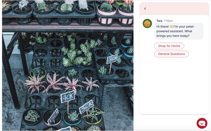 example of a chat funnel created using wpchat