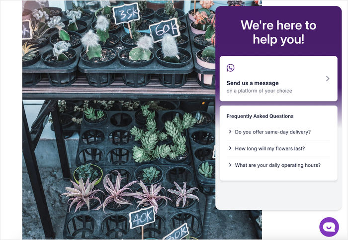 example of a customized wordpress chat widget