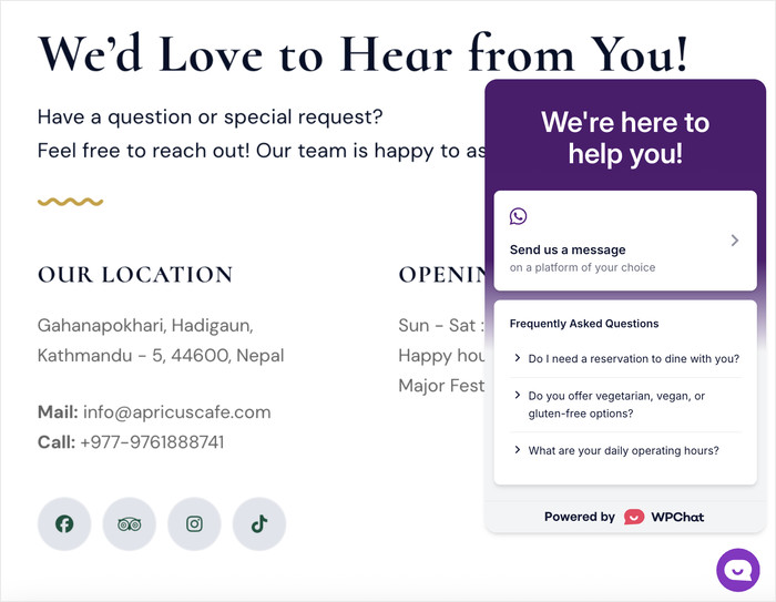 example of faq widget on wordpress website