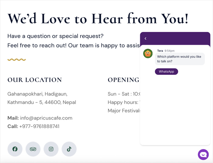 example of whatsapp chat in wordpress
