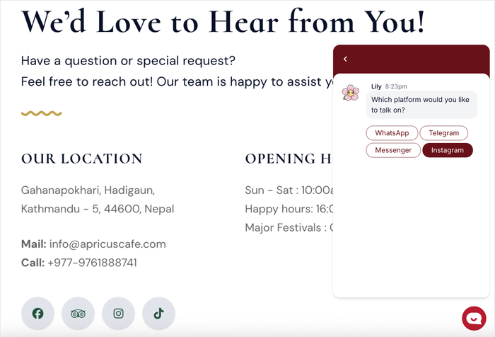 example of an instagram chat on wordpress website