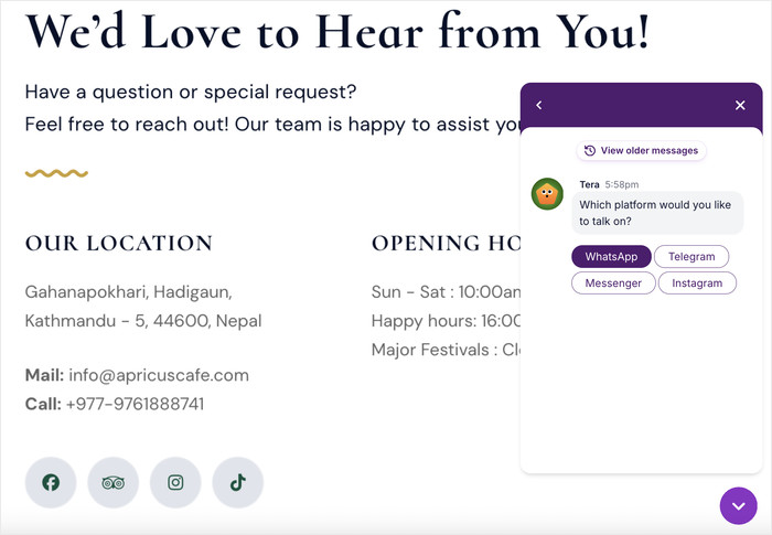 example of a wpchat widget with options to select a platform