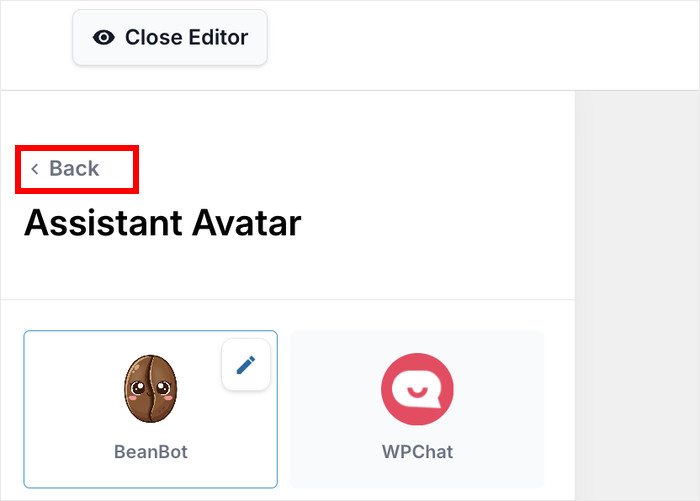 return to main customization options wpchat plugin