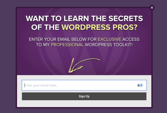 example of a lead magnet popup for email marketing