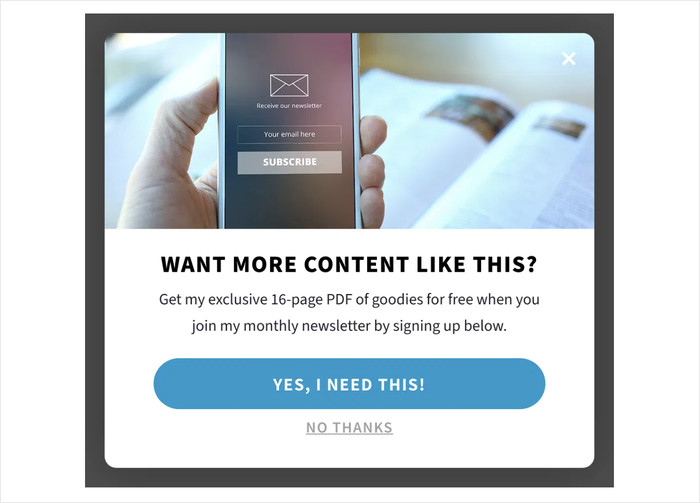 example of a lead magnet with a guide