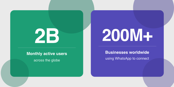 stats for whatsapp business